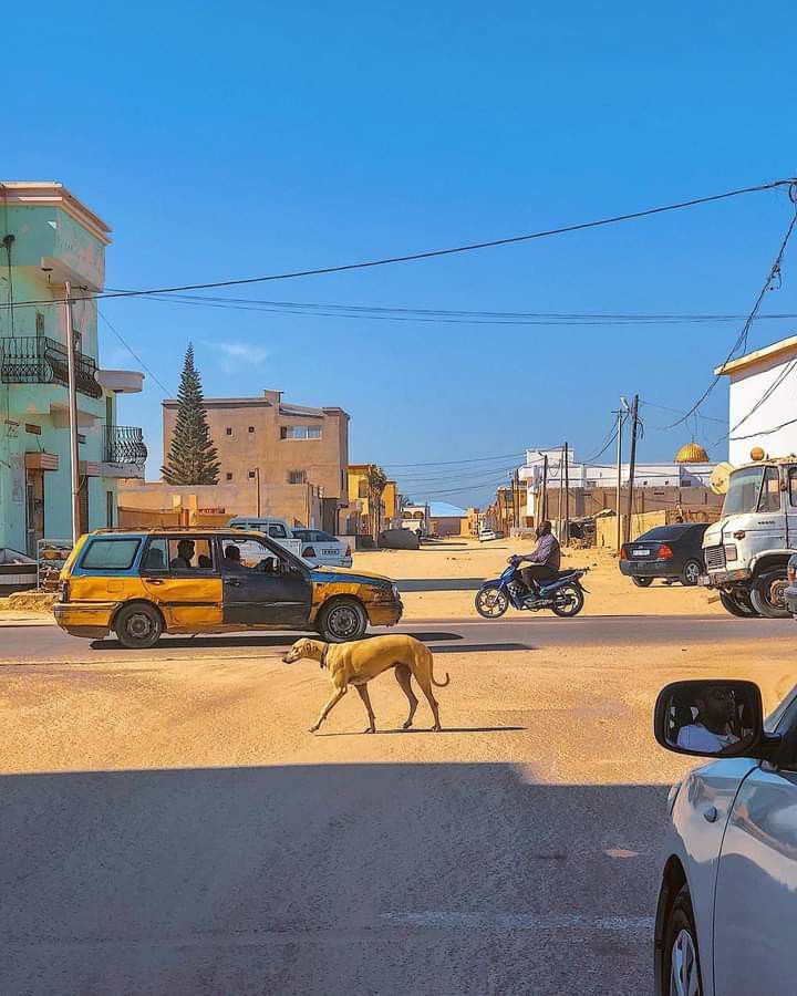 Nouakchott contraste des rues
